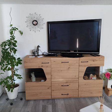 60 M² Ferienapartment Zentrumsnahe Mit Gartenbenutzung Штайр Екстер'єр фото