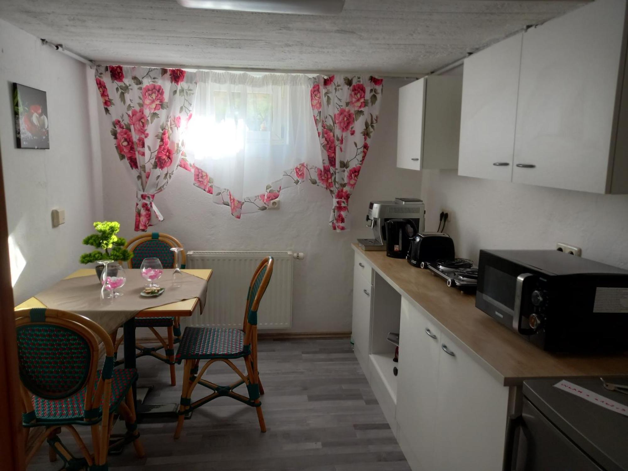 60 M² Ferienapartment Zentrumsnahe Mit Gartenbenutzung Штайр Екстер'єр фото